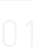 capitulo 01